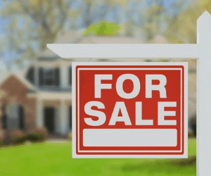 Property Dealers