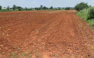 5,10,21 Bigha Agriculture Land on Sale