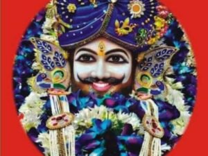 श्री श्याम प्रॉपर्टीज शालीमार अलवर
