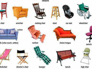 Furniture Showrooms
